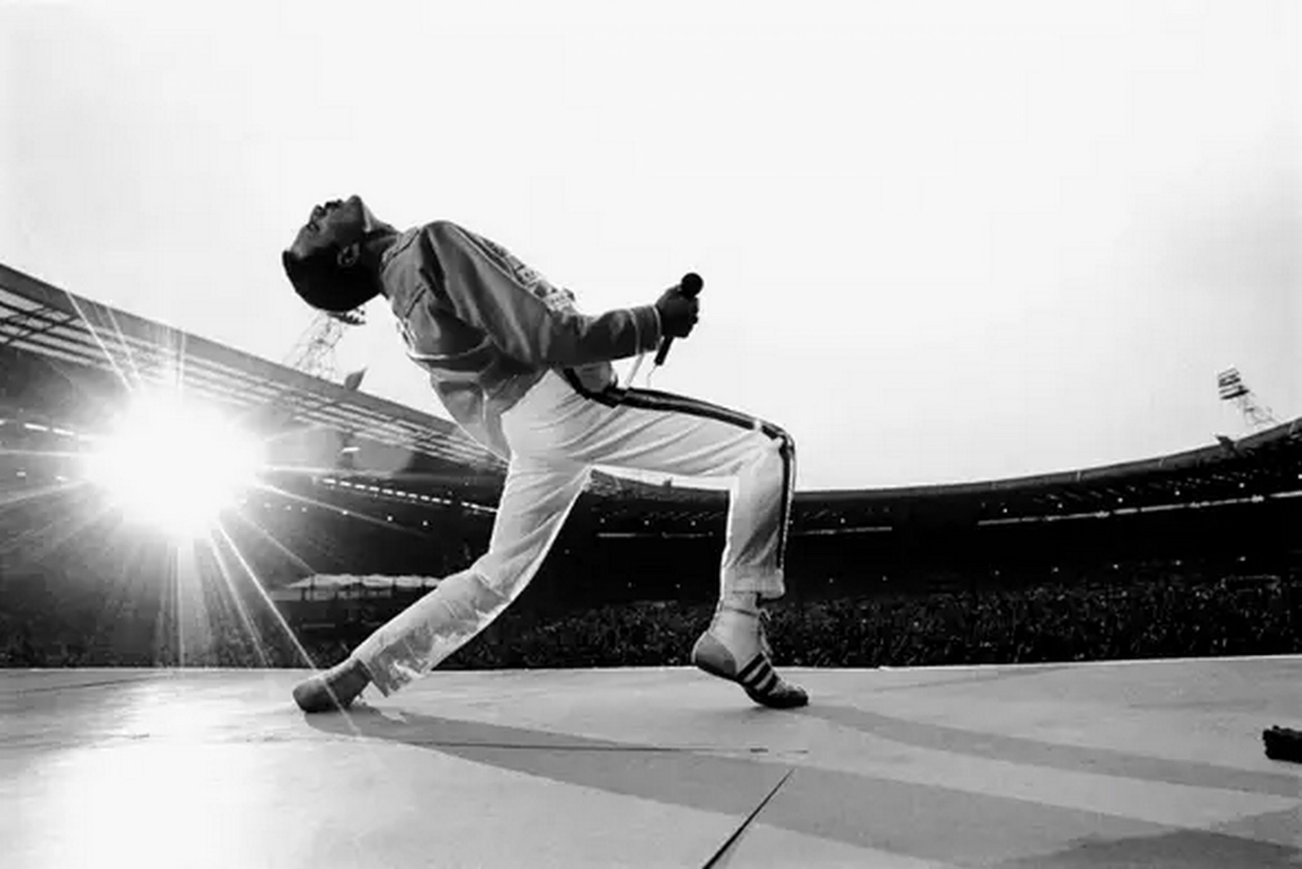 Uma das fotos mais famosas de Freddie Mercury feita por Neal. Foto: Reprodução